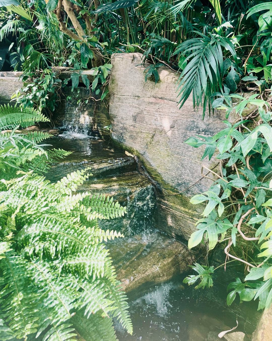 Niagara Parks Botanical Garden